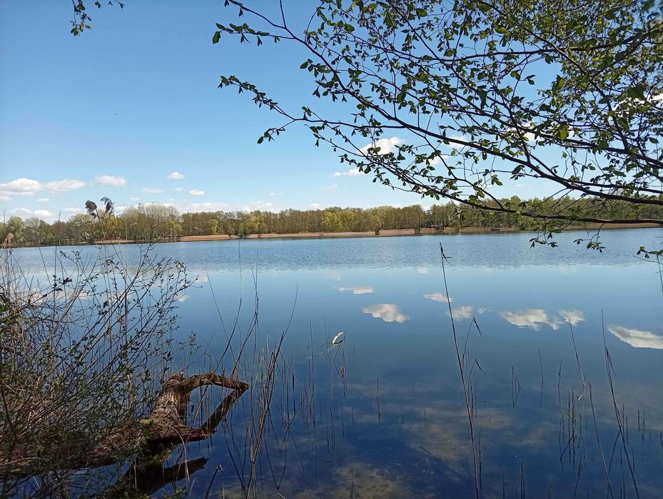 Działka budowlana z linią brzegową Jeziora Wolskiego - Wiewiórczyn - More