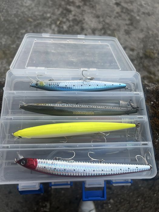 Cana de pesca daiwa spinning carbono + carreto vega + amostras