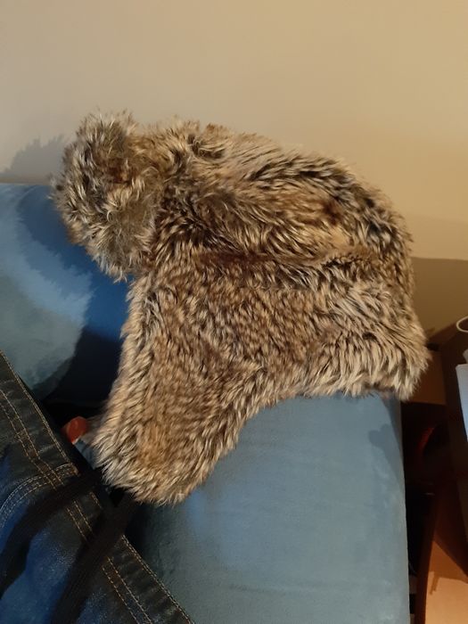 Czapka uszak misio hm kolekcja męska unisex brąz zima narty troczki ci