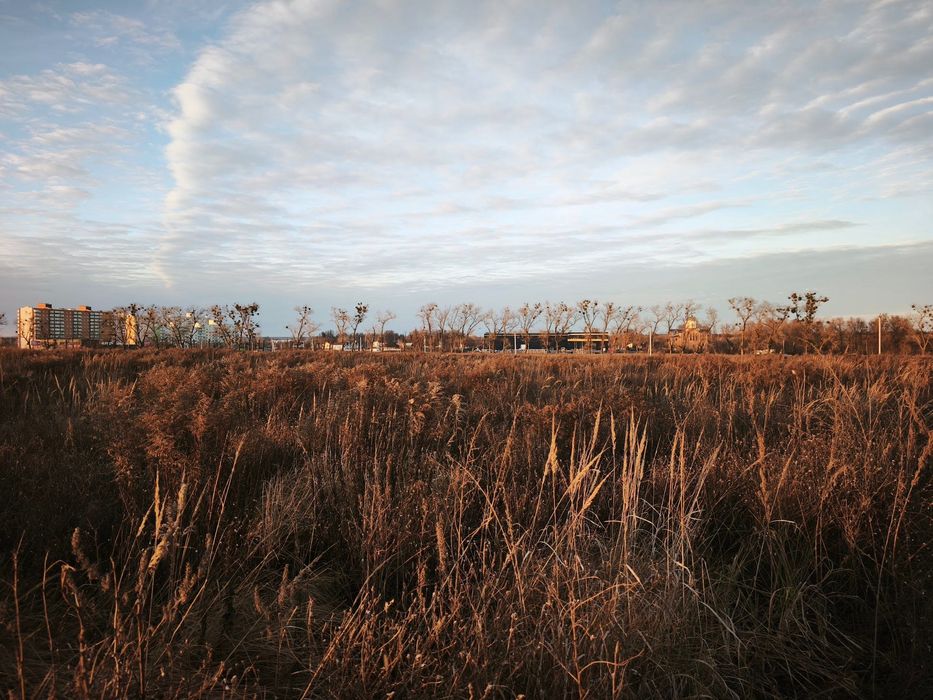 Продам ділянку 20 соток під будівництво.