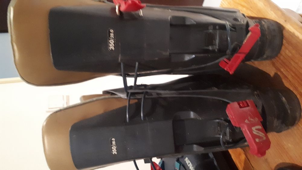 Botas de ski