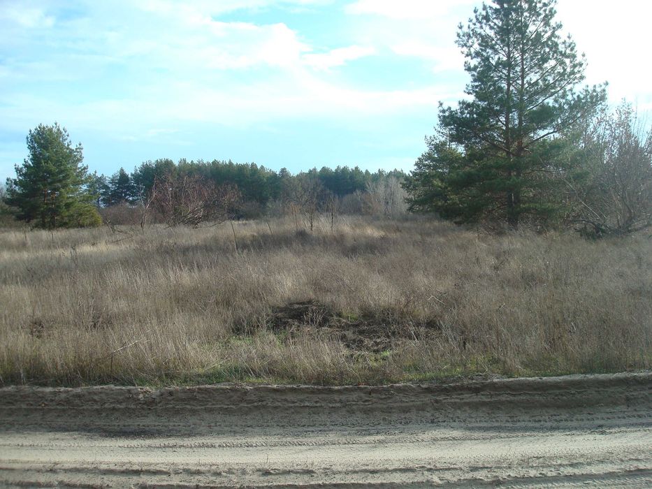 Ціну змінено!!! Продам земельну ділянку під будівництво в с. Чорнявка