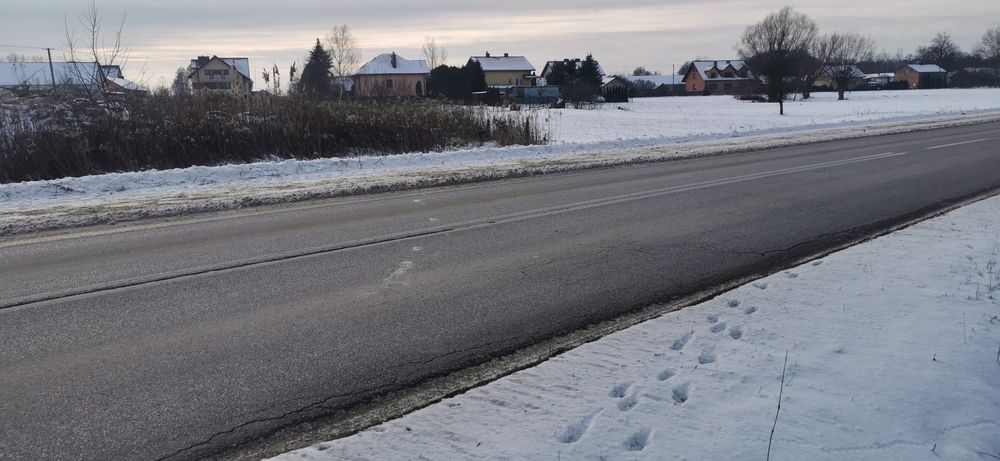 Wynajmę działkę 3000m2  Ręczaje Polskie