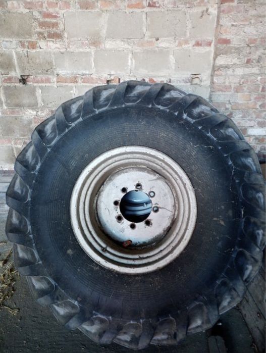 Koło opona 18.4-30 12PR (18.4R30,Ursus, Bizon, Fortschritt) Pneumant