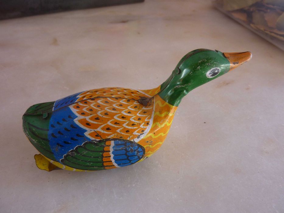 Pato corredor, de corda