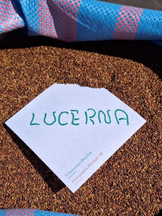 LUCERNA ziarno lucerny nasiona worki z lucerną Faktura dowóz lucernę