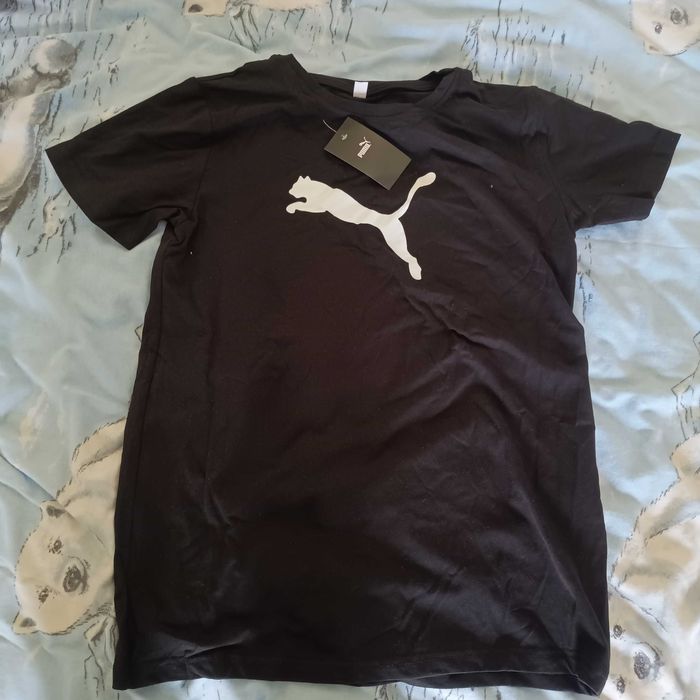 Koszulka męska na krótki rękaw