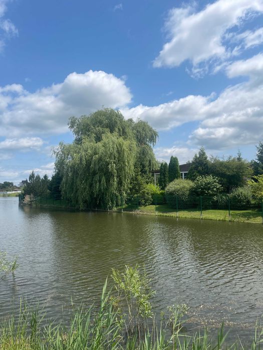 Продам Ділянку 20 соток з Видом на Озеро в Мальовничому Місці.