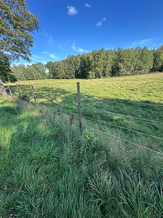 Sprzedam dzialki rolne