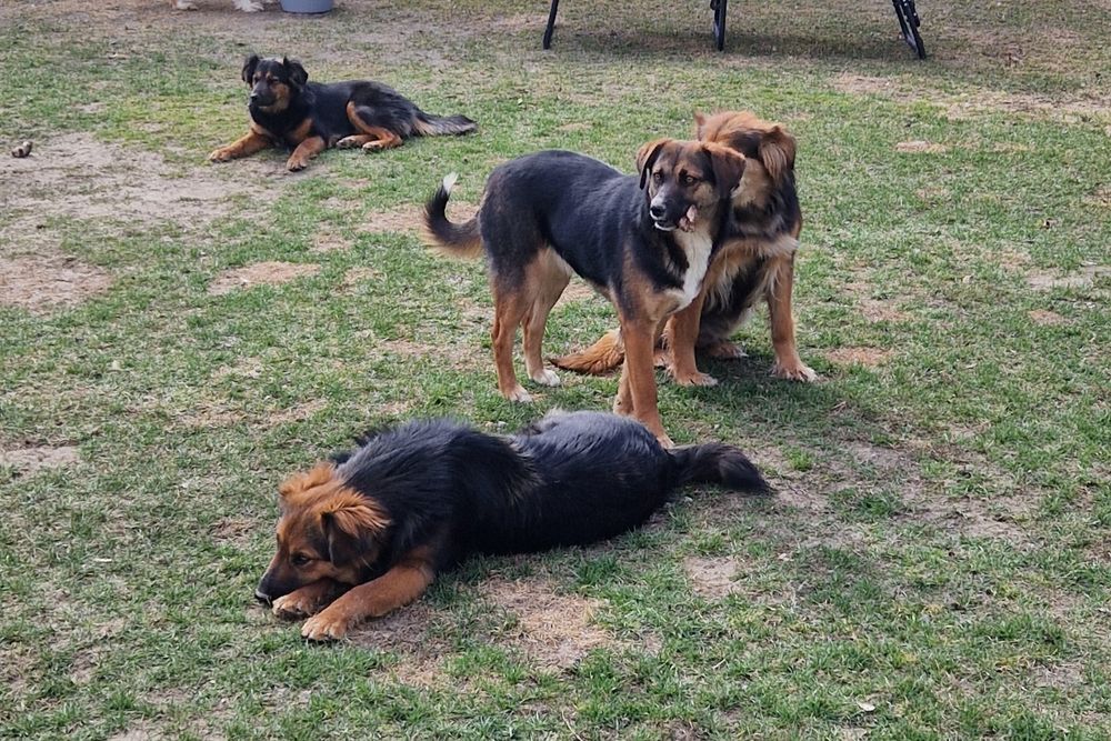 Oddam w dobre ręce.