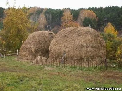 Сіно в тюках і  в скирдах