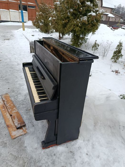 Безкоштовно .безкоштовно.