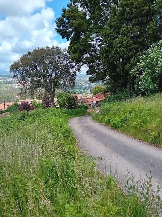 Terreno com vista panorâmica com 2 arruamentos,  nasceste e poente