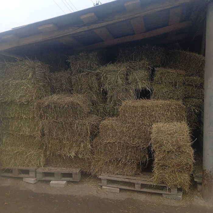 продається сіно лугове тюковане
