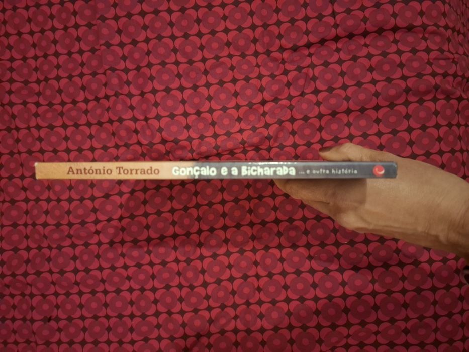 Gonçalo e a Bicharada... e outra história - António Torrado