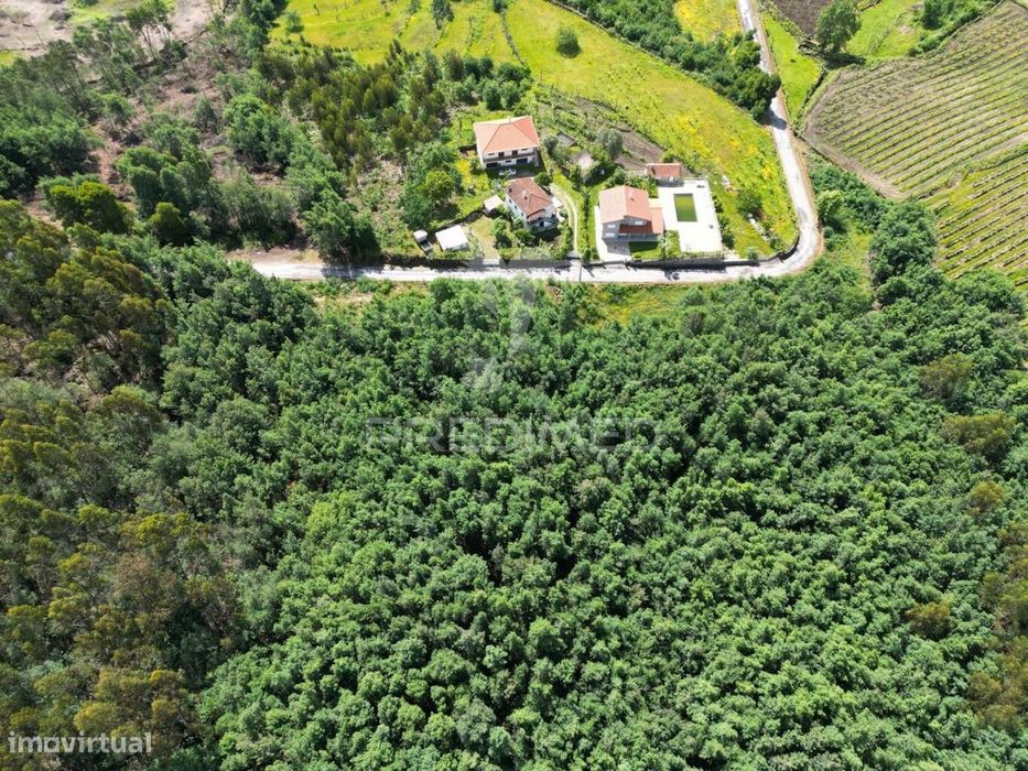 Terreno Cabeceiras de Basto