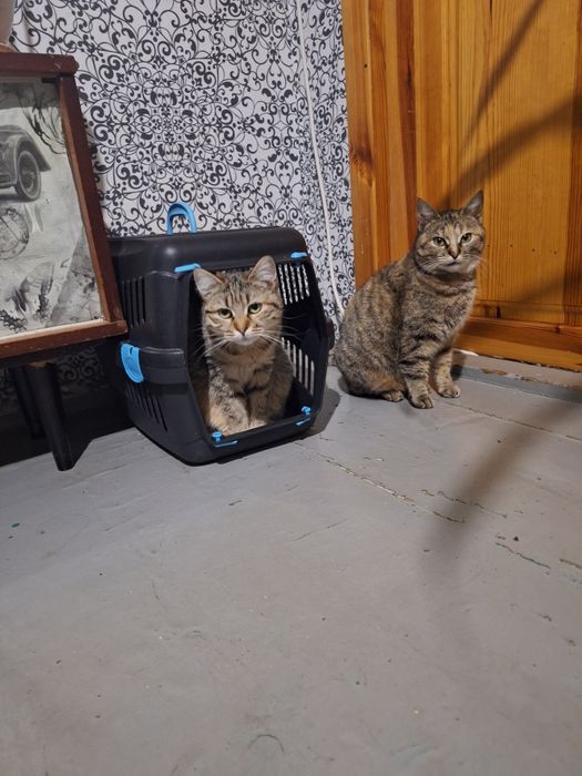 Прохання про допомогу !!!