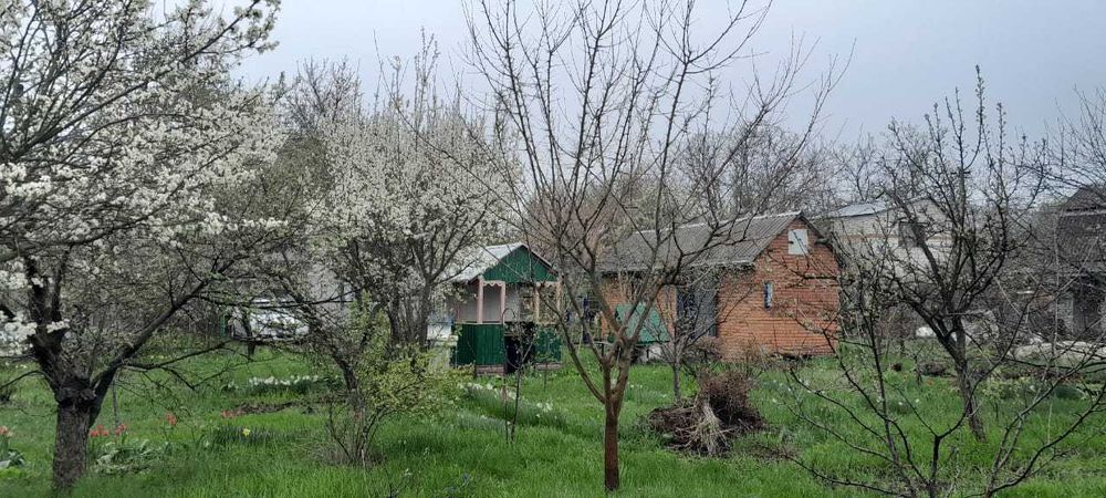 Продам дачу батьків