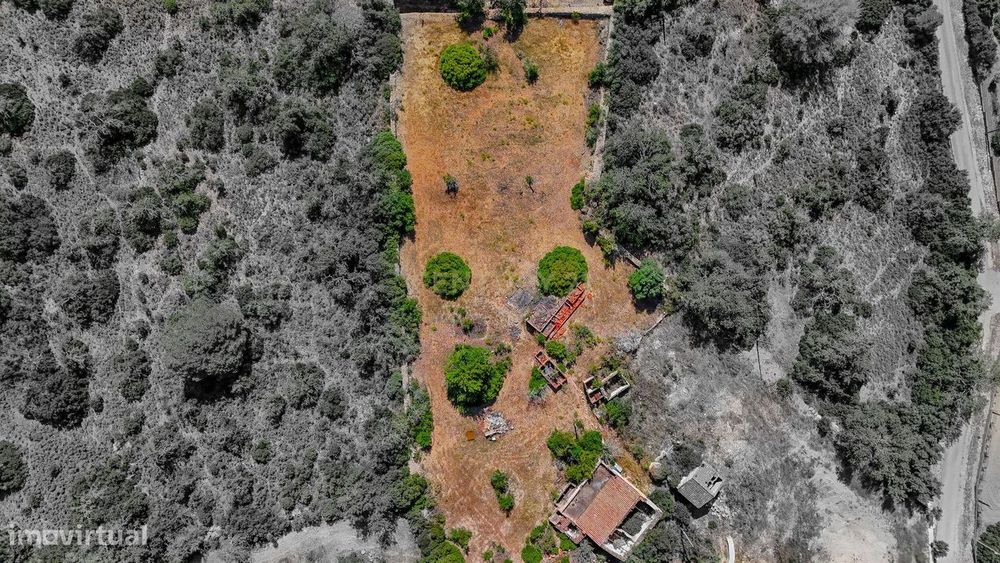 Terreno Com Ruína De 2920M2 Em Pêra
