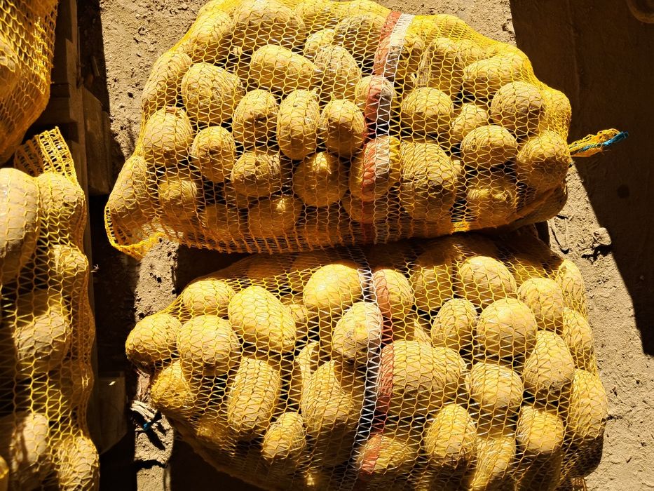 Sprzedam ziemniaki żółte odmiany hurt