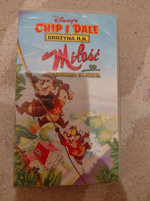 Chip i Dale miłość