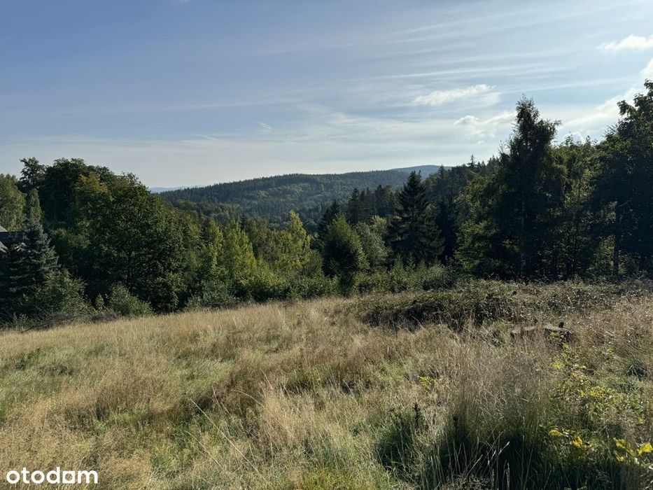 Działka budowlana 2615 m² w Przesiece, 100 m od Wodospadu Podgórnej
