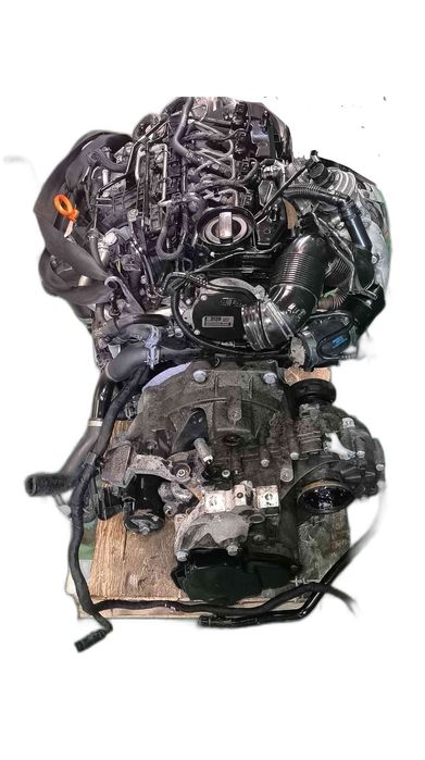 Motor Completo VW GOLF VI 1.6 TDI (77 kW / 105 cv) [02.2009 - 11.2012] CAYP (OEM)