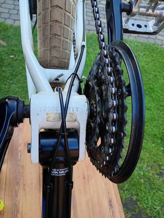 Rower MTB BULLS Wild Beast Sport AM
