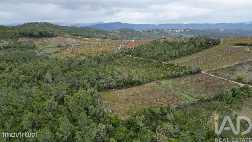 Terreno Agrícola em Condeixa-a-Velha e Condeixa-a-Nova