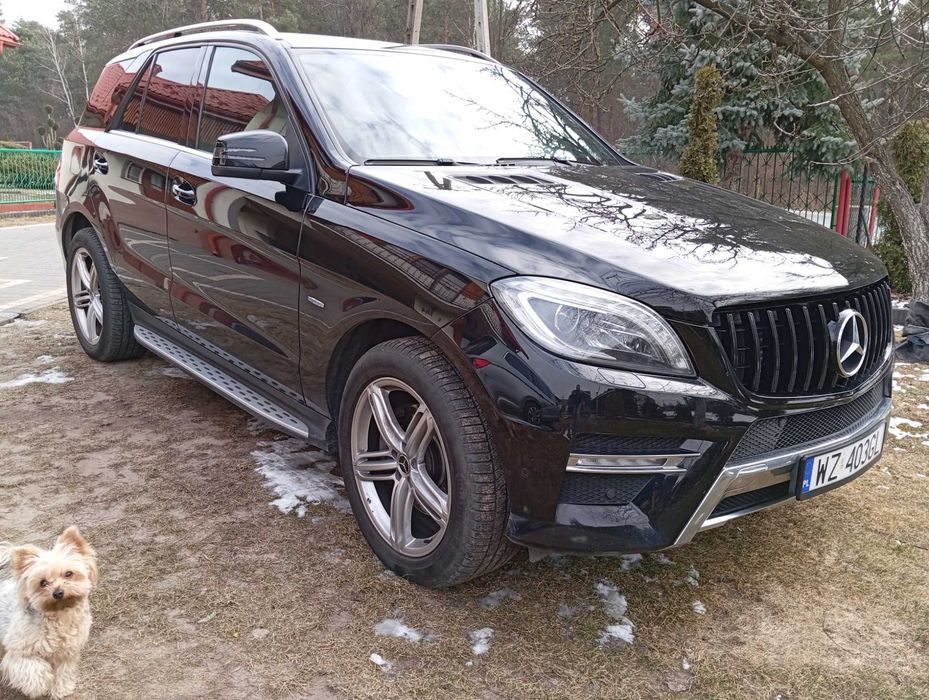 Mercedes Ml W166
