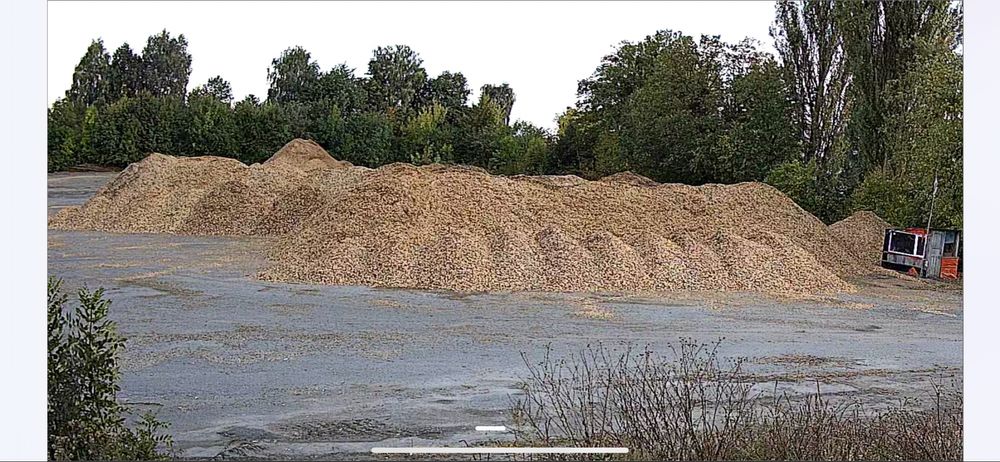 Щепа (тріска) твердих порід (граб, дуб, ясен.) не розліснення!