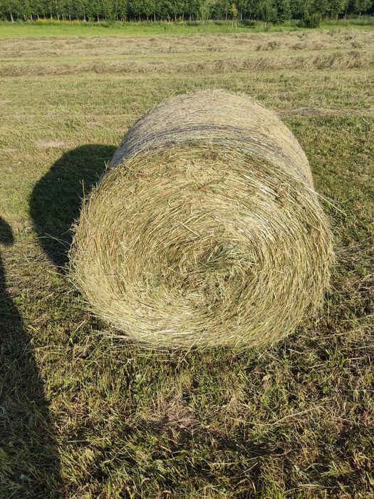 Siano przechowywane pod dachem zbiór 2026