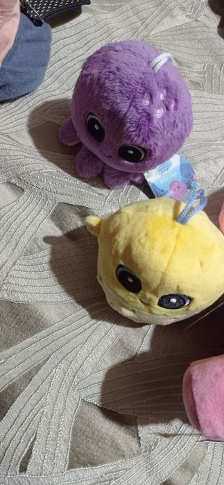 Vários peluches fofinhos
