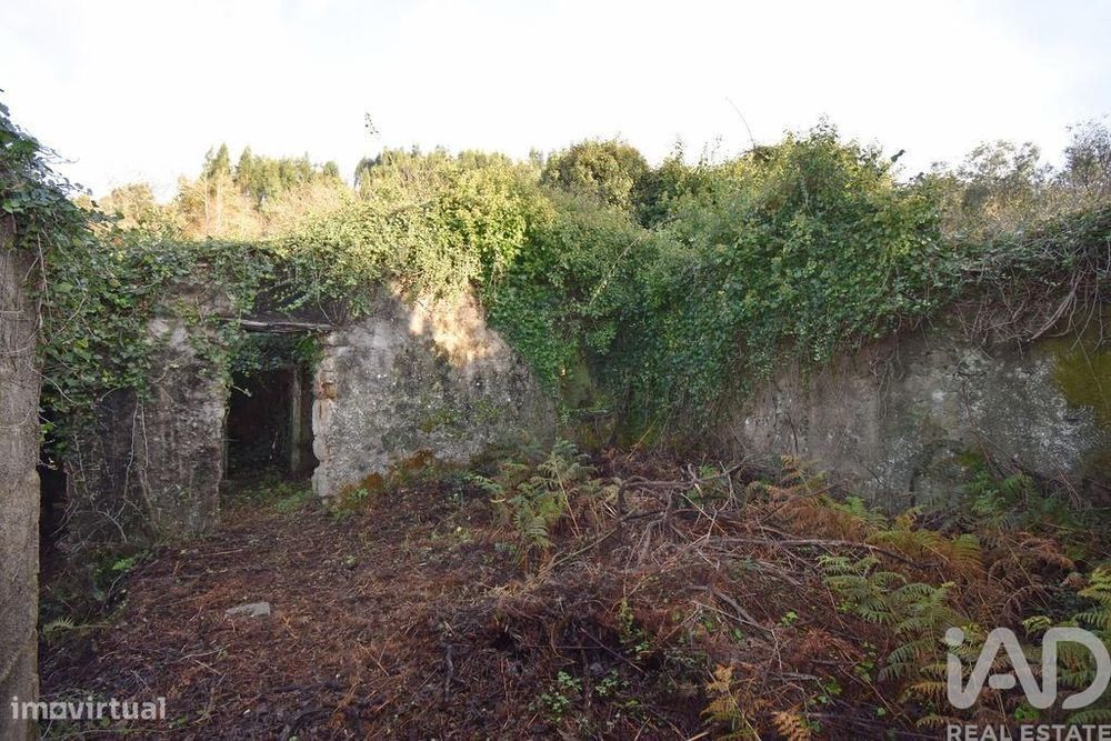 Casa / Villa em São Miguel, Santa Eufémia e Rabaçal de 300 m2