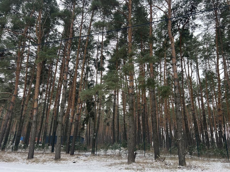 5 соток зі світлом Озеряни Ліс Гнідин Гнедин