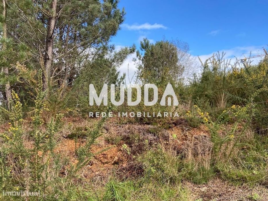 Terreno de 759 m2 para Construção
