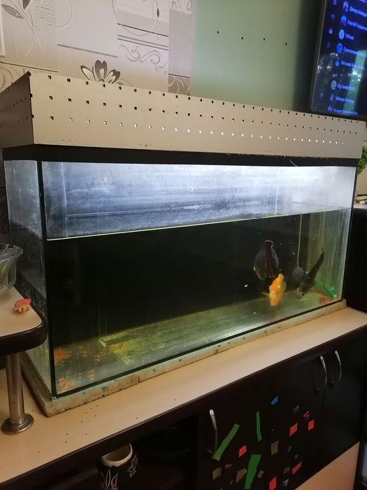 Продам аквариум с рыбами