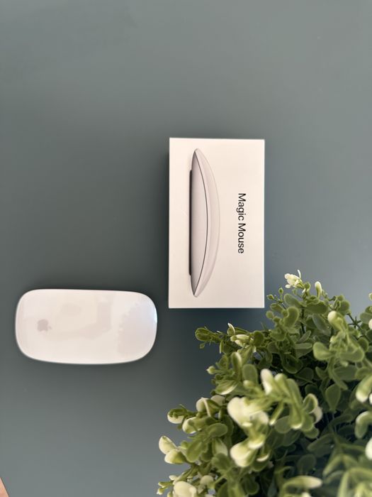 Magic Mouse 2 Apple445082681864376321