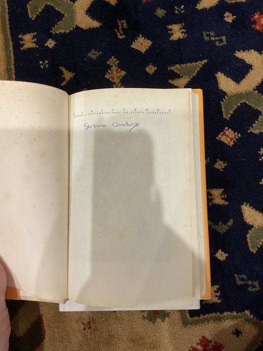 Livro José riço direitinho - breviário das más inclinações