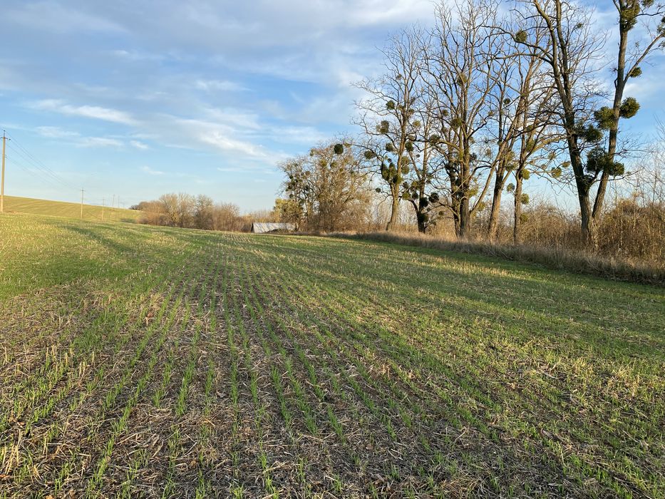 Сівалка Сіва Нова 3.6