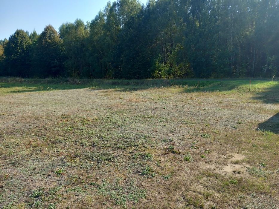 Działki siedliskowe w Borach Tucholskich