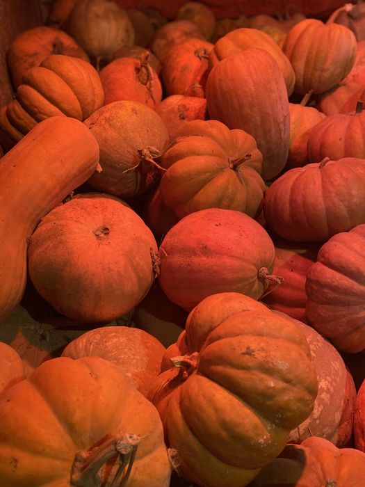 Продам кашний гарбуз