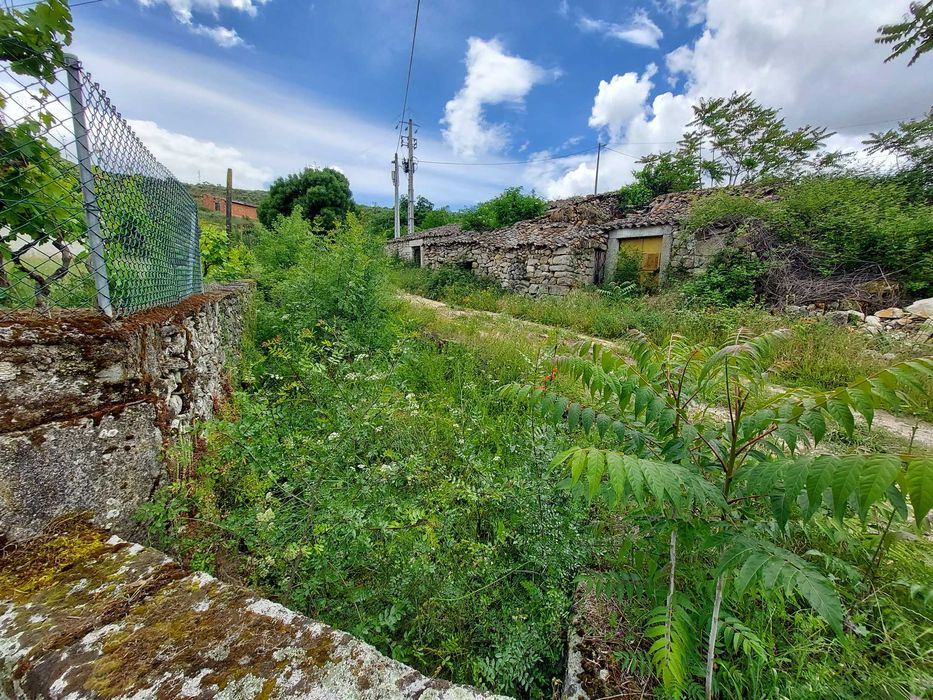 Casa Rural em Quinta da Catraia - Longroiva - Mêda