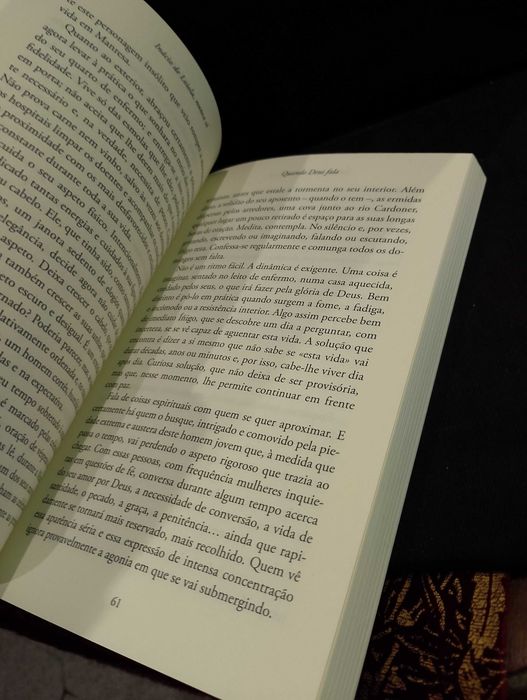 Inácio de Loiola, nunca só - José María R. Olaiozola