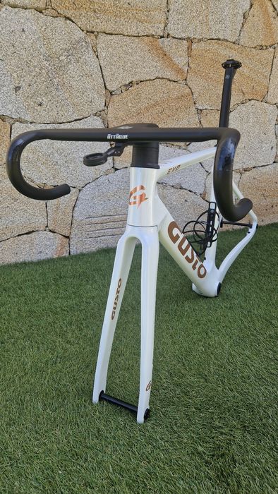 Quadro Gusto Cobra EVO
