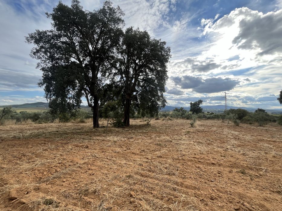 Terreno Rústico — Capinha, Fundão