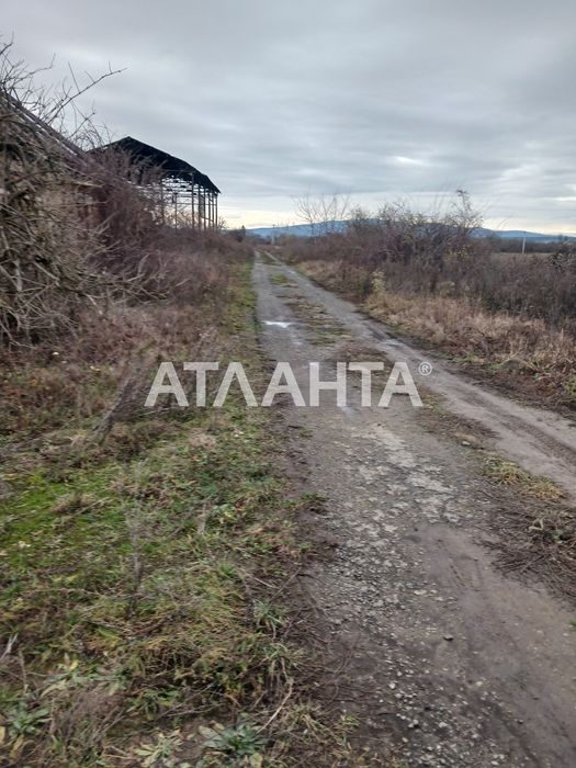 4 га в Сторожниці