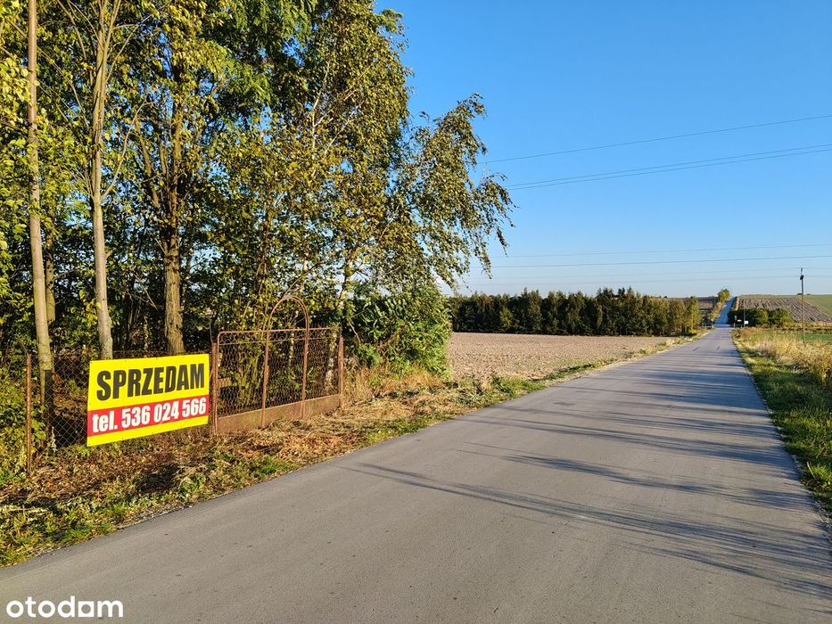 Rezerwacja Działka rolna 4317 m2, ogrodzona z sadem, Gniewięcin asfalt