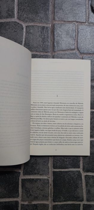 Para Espantar as Minhas Mágoas: Memórias de uma Alentejana por Augusta Geraldo