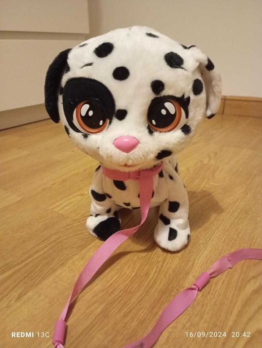 Crybaby Spot o Dalmata